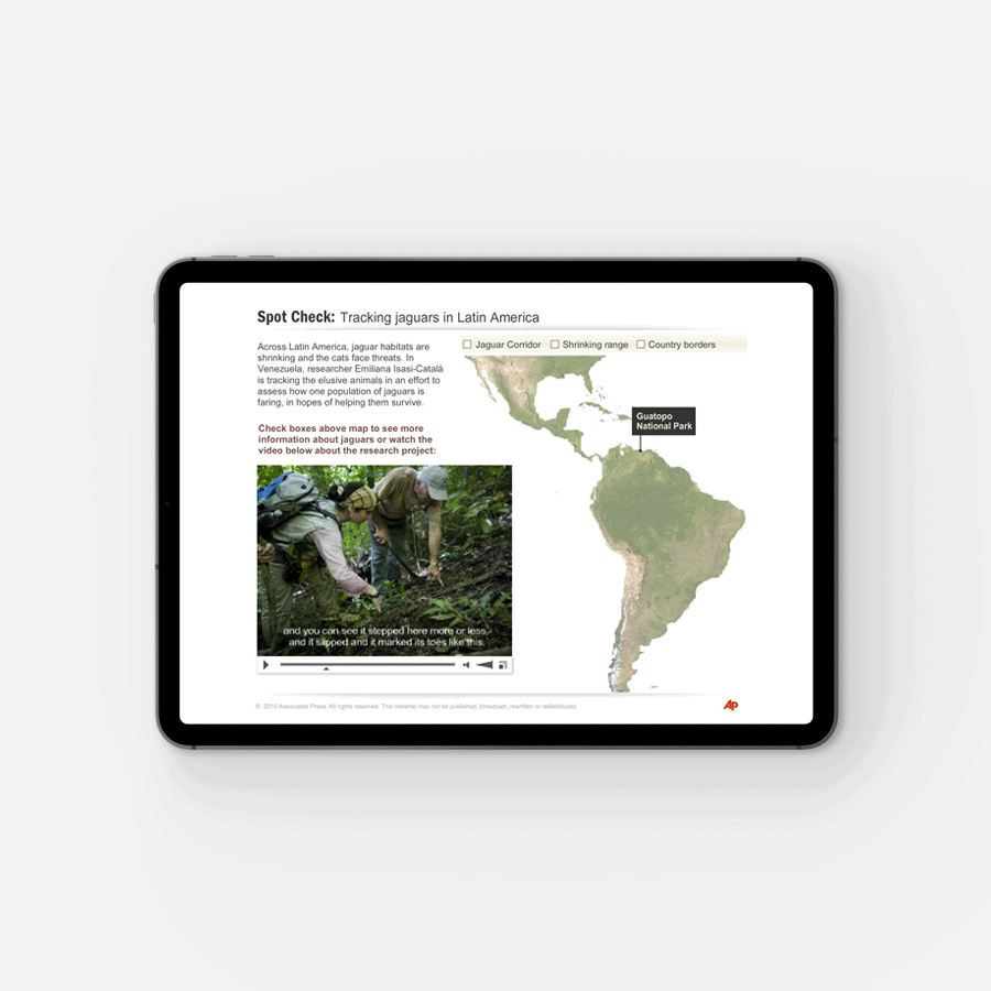 Tracking-Jaguars-interactive-tina-garcia-freelance-designer